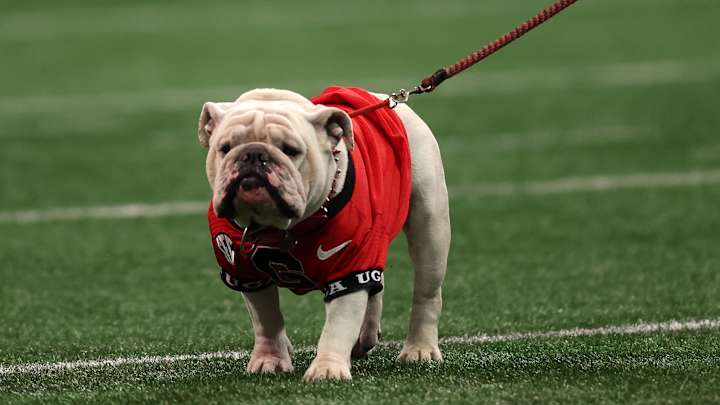 Georgia Bulldogs Lose a Commitment From 2026 Recruiting Class to the Miami Hurricanes