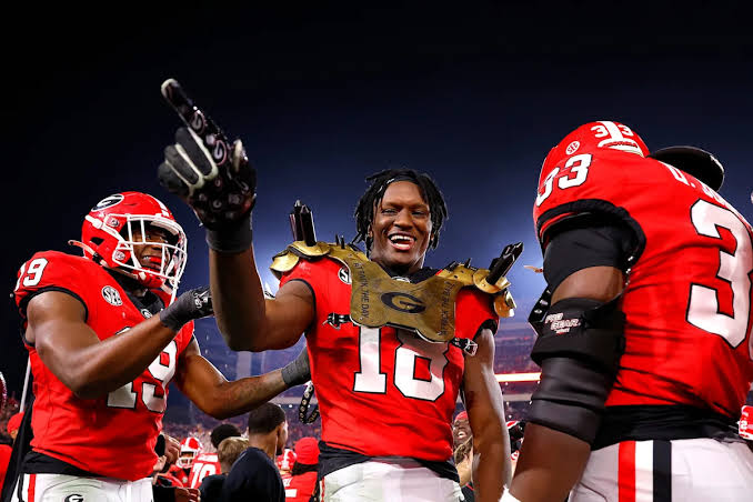 Chris Cole, Justin Williams ready for larger roles for stacked Georgia football LB group